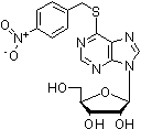 PI-10289