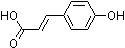 PI-11519