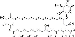 PI-13080
