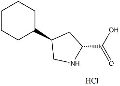 PI-13589