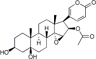 PI-13822