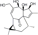 PI-13823