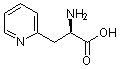 PI-14955