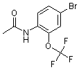 PI-15593