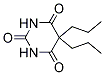 PI-19004