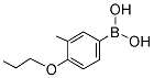 PI-19386
