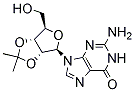 PI-19499