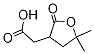 PI-19568