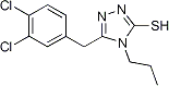 PI-21019