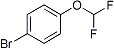PI-21193