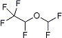 PI-21204