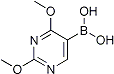 PI-21300