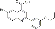 PI-21537