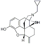 PI-21856