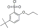 PI-23019