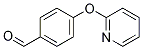 PI-26255