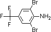 PI-31293