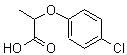 PI-32596