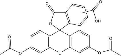 PI-37041