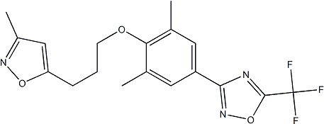 PI-37516