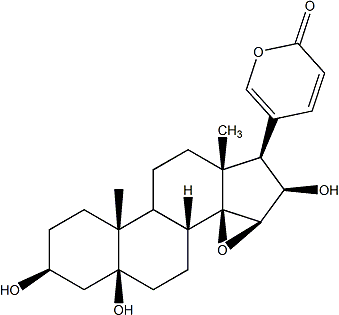 PI-40706