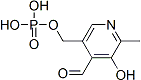 PI-41144