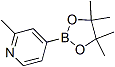 PI-44954